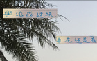 事出反常，申花老謀深算，勝后申訴，輿論戰(zhàn)不簡單。