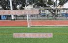 河南教練助隊成巨人殺手，淘汰申花，勝蓉城。
