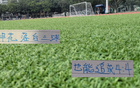 戴冠負(fù)重，申花笑中藏險(xiǎn)，終扳平。
