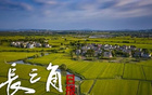 江蘇省長兩年現(xiàn)場觀賽，為冠軍頒獎(jiǎng)
