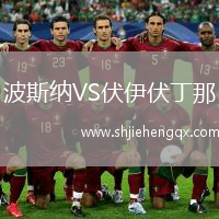 波斯納VS伏伊伏丁那
