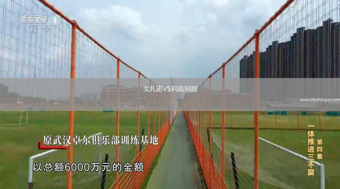 戈扎諾VS利高列那