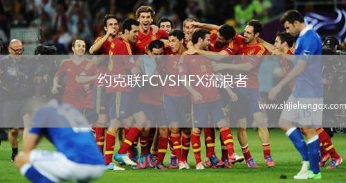 約克聯(lián)FCVSHFX流浪者