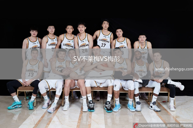 SV不萊梅VS梅彭