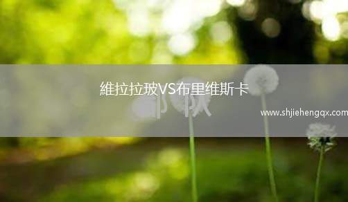 維拉拉玻VS布里維斯卡