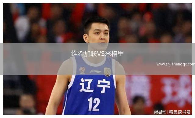 維希加聯(lián)VS米格里