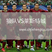 狼隊VS萊斯特城