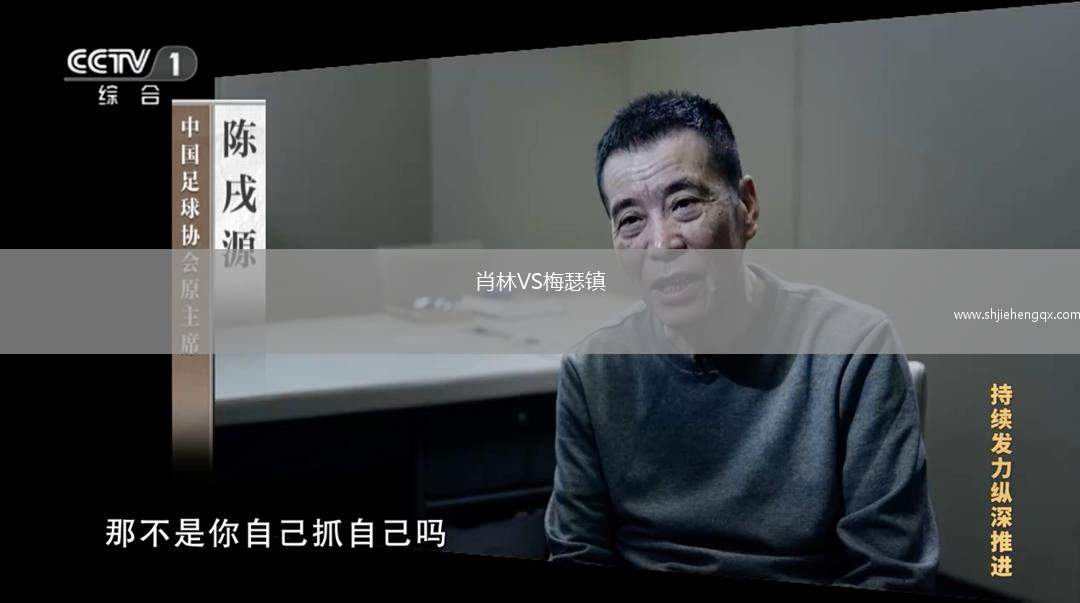 肖林VS梅瑟鎮(zhèn)