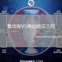 魯畢奧VS弗拉姆瓜蘭尼