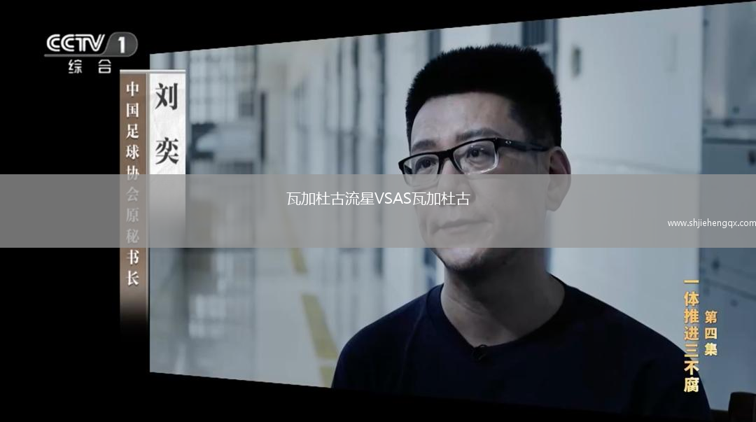 瓦加杜古流星VSAS瓦加杜古