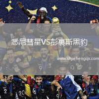 悉尼彗星VS彭裏斯黑豹