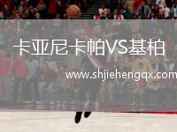 卡亞尼卡帕VS基柏