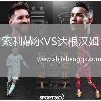 索利赫爾VS達根漢姆