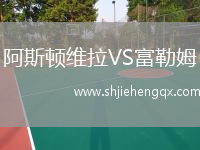 阿斯頓維拉VS富勒姆