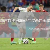 南京鐵虎河海VS武漢兩江金岸