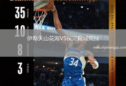 伊犁天山花海VS保定靴城競(jìng)技