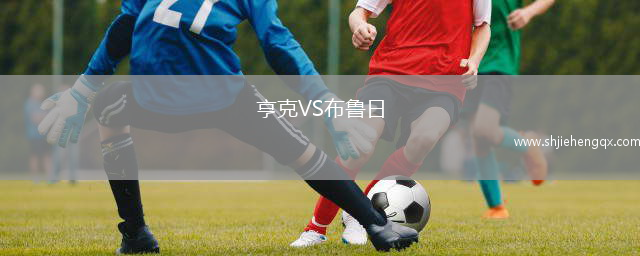 亨克VS布魯日