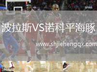 波拉斯VS諾科平海豚