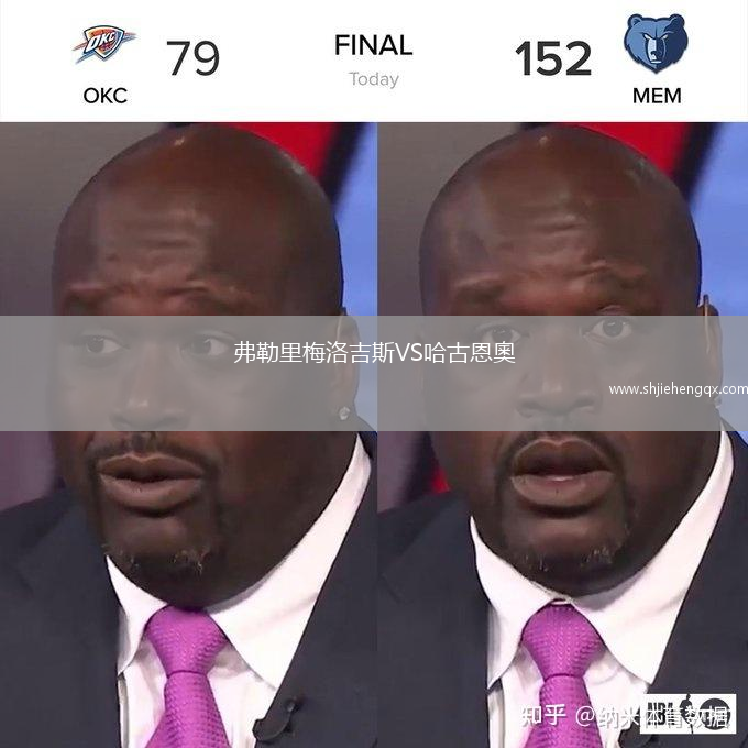 弗勒里梅洛吉斯VS哈古恩奧