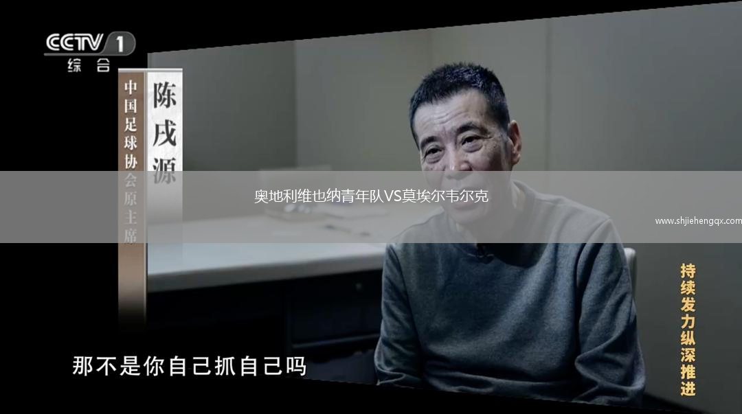 奧地利維也納青年隊(duì)VS莫埃爾韋爾克