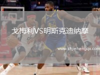 戈梅利VS明斯克迪納摩