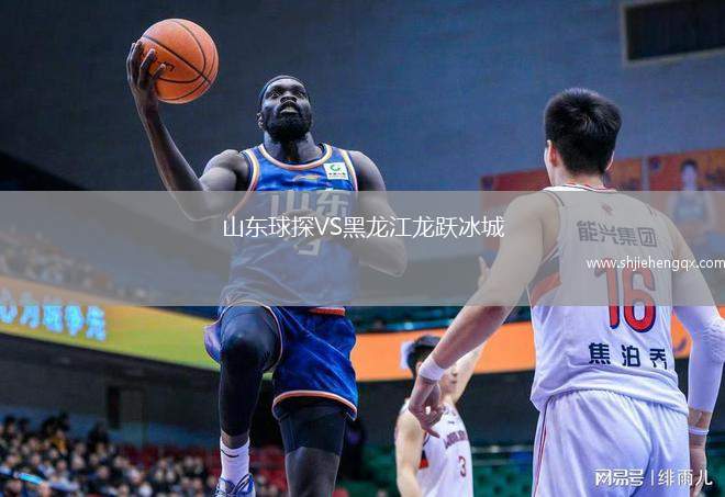 山東球探VS黑龍江龍躍冰城
