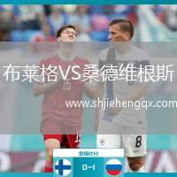 布萊格VS桑德維根斯
