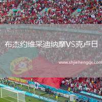 布杰約維采迪納摩VS克盧日