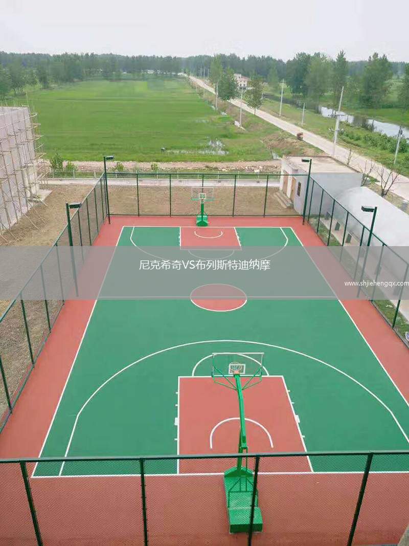 尼克希奇VS布列斯特迪納摩